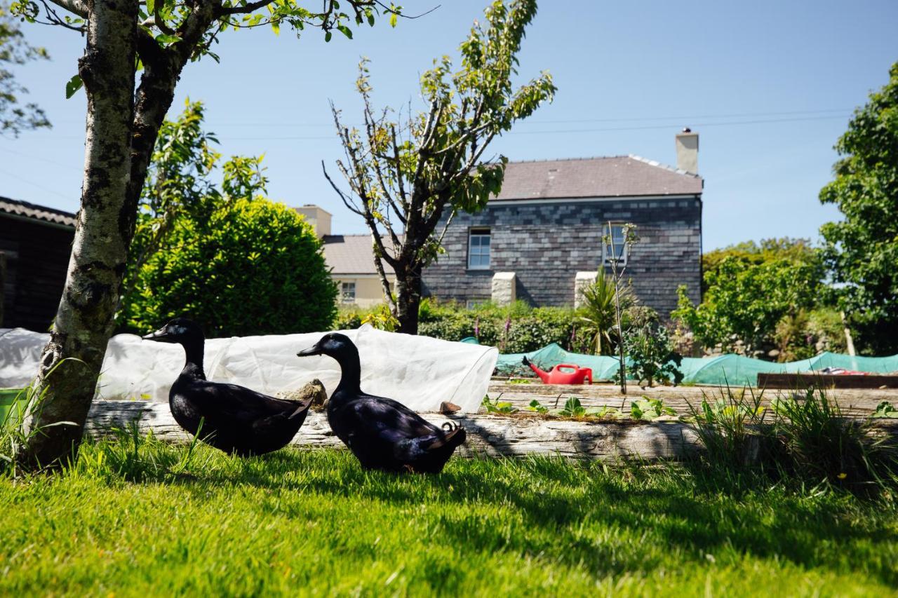 Penrhiw Farm B & B Goodwick ภายนอก รูปภาพ